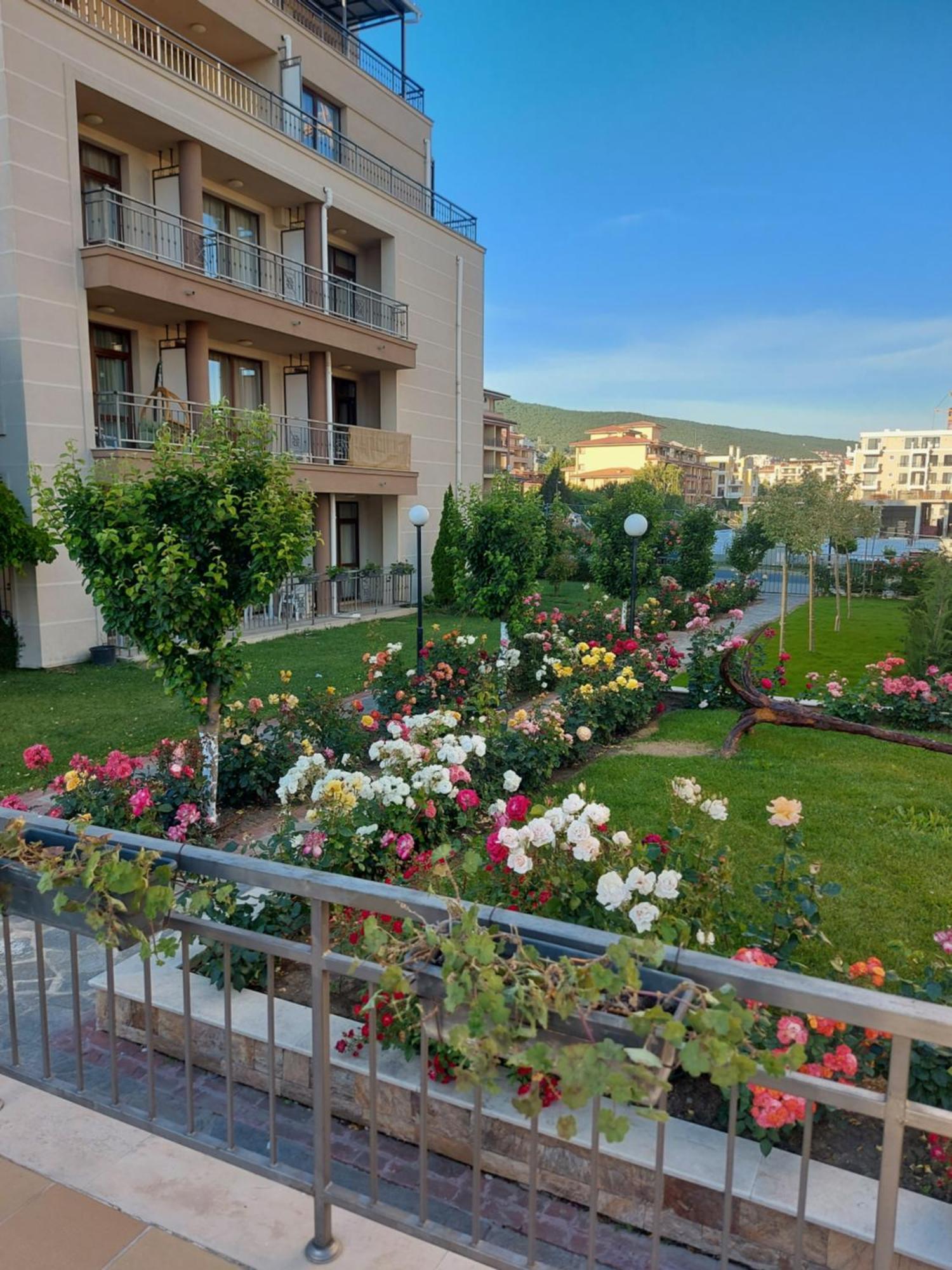 Charming Studio In Sorrento Sole Mare Sveti Vlas Eksteriør bilde